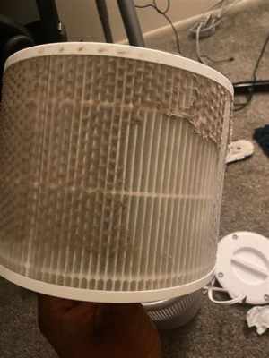 How Often Do You Replace Air Purifier Filter: A Journey Through Dust and Time