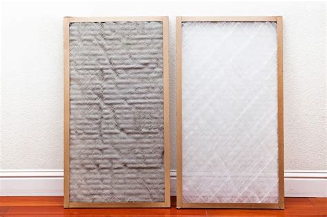 How Often Should I Change Air Purifier Filter: A Symphony of Dust and Time