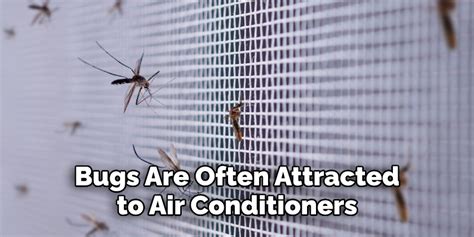 How to Prevent Bugs from Coming Through Air Conditioner: And Why They Might Be Attracted to Your Favorite Socks