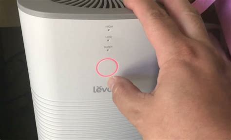 How to Reset Filter Light on Levoit Mini Air Purifier: A Journey Through the Labyrinth of Air Quality Maintenance